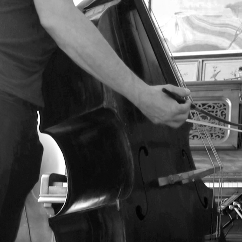 Thierry Amar playing bass